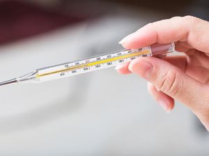 Perbedaan Suhu dan Kalor dalam Ilmu Fisika, Jangan Tertukar! Perbedaan Suhu dan Kalor dalam Ilmu Fisika, Jangan Tertukar!
