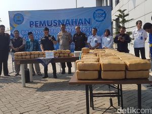 BNN Banten Musnahkan 150 Kg Ganja yang Diselundupkan dengan Mobil Mewah