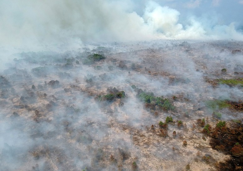 Hari Ke-10 Pemadaman Kebakaran Lahan Gambut di Riau