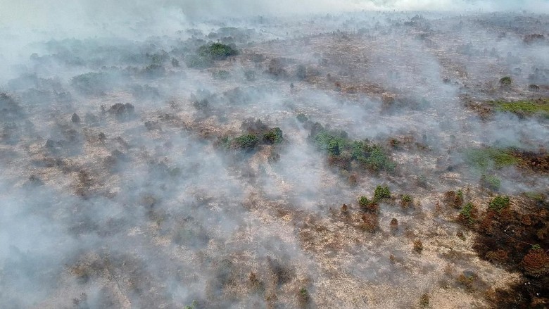 20 Ha Lahan Gambut di Aceh Barat Terbakar, 8 Pemilik Diperiksa