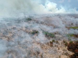 20 Ha Lahan Gambut di Aceh Barat Terbakar, 8 Pemilik Diperiksa 20 Ha Lahan Gambut di Aceh Barat Terbakar, 8 Pemilik Diperiksa