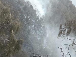 15 Hektare Lahan Alang-alang di Gunung Arjuno Terbakar