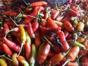 Makin Pedas! Harga Cabai Tembus Rp 100.000/Kg Makin Pedas! Harga Cabai Tembus Rp 100.000/Kg