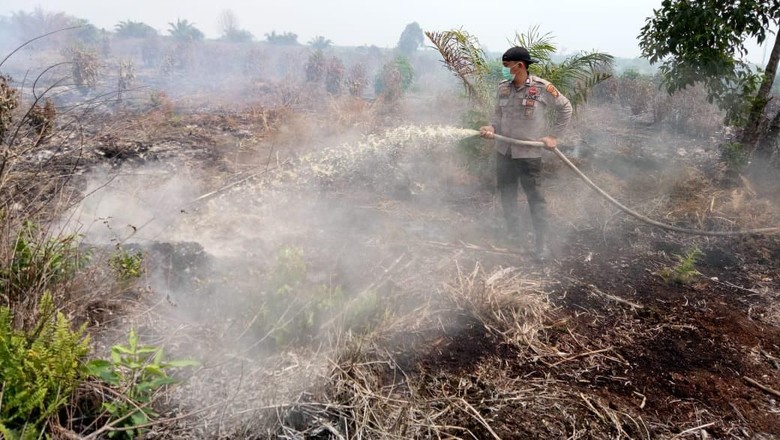 85 Titik Api Masih Ada di Sumatera, Paling Banyak di Riau