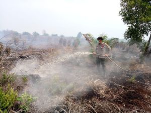85 Titik Api Masih Ada di Sumatera, Paling Banyak di Riau