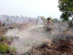 Asap Pekat Kepung Pelalawan Riau