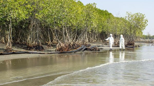 Upaya Minimalisir Tumpahan Minyak di Pesisir Karawang