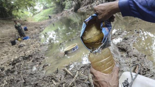 7 Provinsi di Indonesia Terdampak Kekeringan
