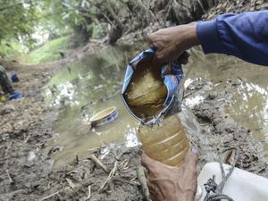 7 Provinsi di Indonesia Terdampak Kekeringan