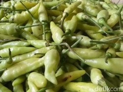 Harga Sembako Jogja Hari Ini 16 Juli 2024: Cabai Rawit Hijau-Merah Naik