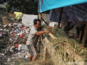 Hewan Kurban Ini Dijual di Samping Tempat Penampungan Sampah Hewan Kurban Ini Dijual di Samping Tempat Penampungan Sampah