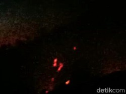 Hutan di Kawah Ijen Terbakar