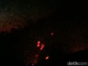 Hutan di Kawah Ijen Terbakar Hutan di Kawah Ijen Terbakar
