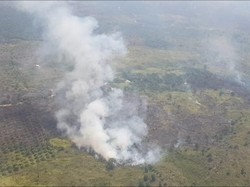 Petugas Kesulitan Padamkan Kebakaran Hutan di Jambi