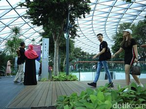 Hore! Liburan ke Singapura Akan Bebas PCR Hore! Liburan ke Singapura Akan Bebas PCR