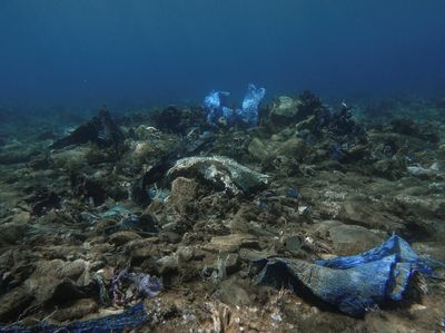 Potret Sampah Plastik Cemari Terumbu Karang di Laut Yunani