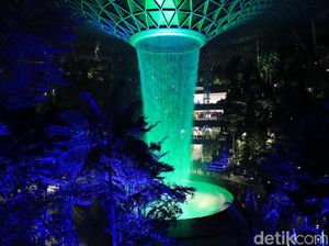 Foto: Hutan Avatar di Jewel Changi Foto: Hutan Avatar di Jewel Changi