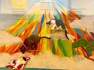 Bertema Pemandian Air Panas, Di Kafe Ini Bisa Makan Bersama Kucing