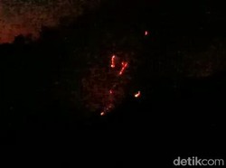 Hutan di Kawah Ijen Terbakar, Waspada Asap Saat Malam Hari