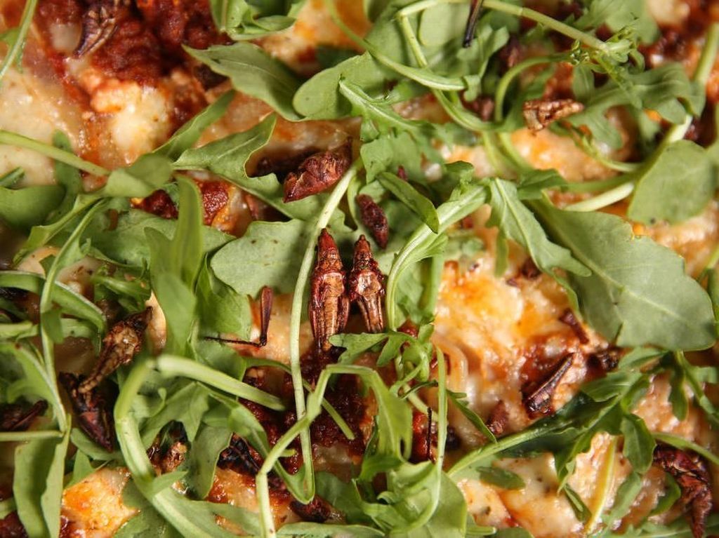 Las Vegas Diserang Belalang, Gerai Pizza Ini Bikin Pizza Topping Belalang Las Vegas Diserang Belalang, Gerai Pizza Ini Bikin Pizza Topping Belalang