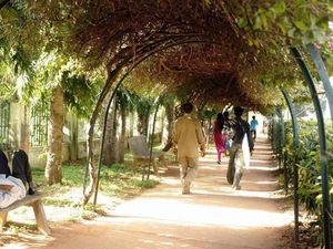 Mengenal Goa, Negara Bagian India yang Santai dan Tenang