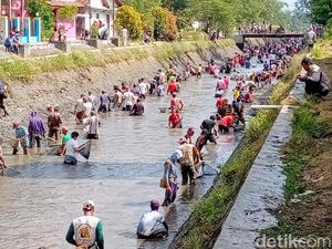 Sambut Kemarau, Ribuan Warga Purworejo Bersihkan Sungai dan Panen Ikan