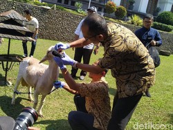 370 Dokter Hewan Dikerahkan Sambut Idul Adha di Jabar