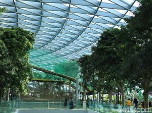 Canopy Park, Atraksi Wisata Terbaru di Jewel Changi Canopy Park, Atraksi Wisata Terbaru di Jewel Changi