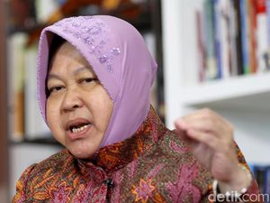 Fakta Menarik Risma yang Diserang Anggota TGUPP Anies