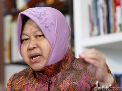 Fakta Menarik Risma yang Diserang Anggota TGUPP Anies