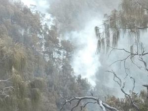 Kebakaran Hutan di Gunung Arjuno Mencapai 300 Hektare Kebakaran Hutan di Gunung Arjuno Mencapai 300 Hektare