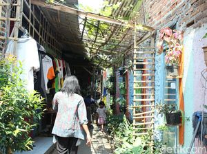 Kampung Hidroponik Cimone, Kesejukan di Tengah Polusi Kota Tangerang Kampung Hidroponik Cimone, Kesejukan di Tengah Polusi Kota Tangerang