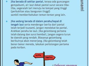 Ini Langkah-langkah yang Harus Dilakukan Jika Terjadi Tsunami