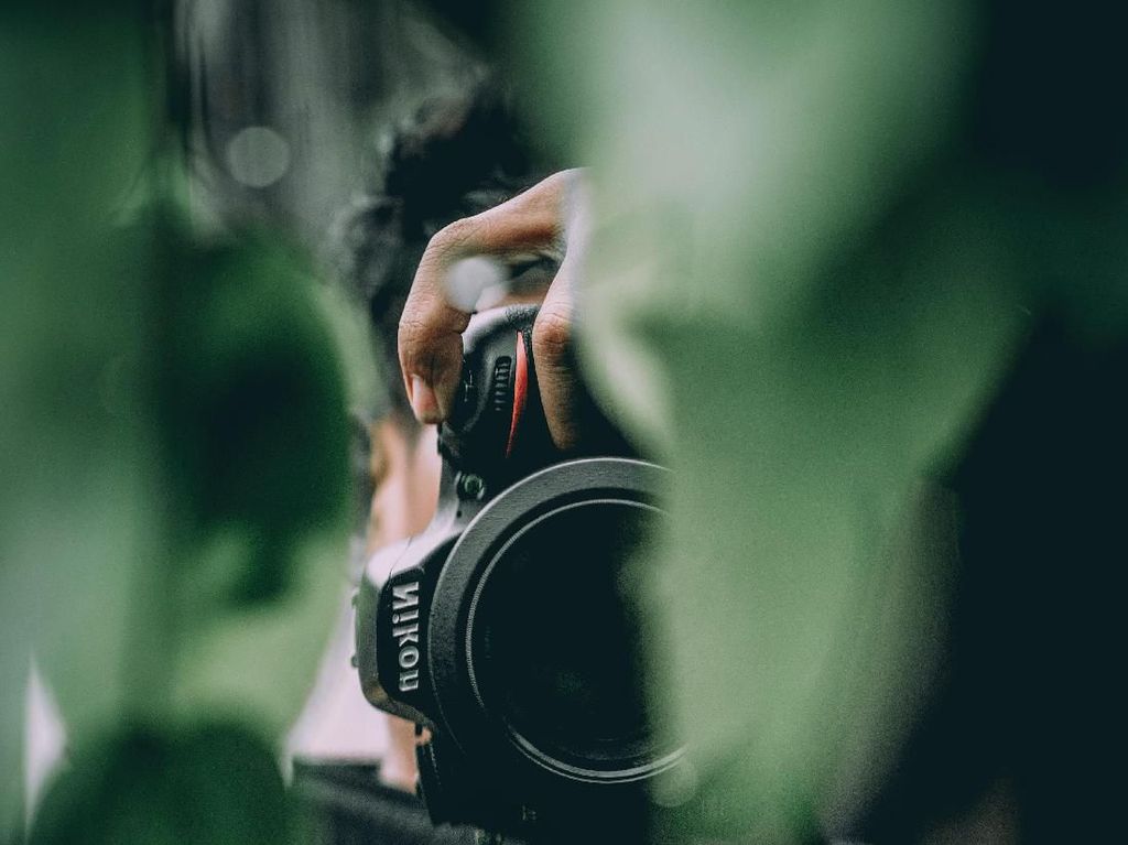 Titik Fokus Foto yang Bagus Seperti Apa? Titik Fokus Foto yang Bagus Seperti Apa?