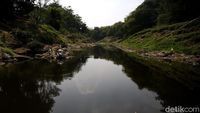 Potret Sungai Cileungsi yang Tercemar Hingga Menghitam