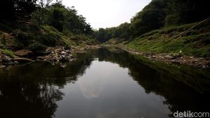 Potret Sungai Cileungsi yang Tercemar Hingga Menghitam