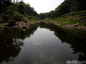 Potret Sungai Cileungsi yang Tercemar Hingga Menghitam