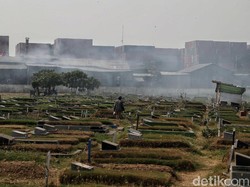 Selain PT KCN, Perusahaan Lain di Marunda Jakut Terancam Diberi Sanksi