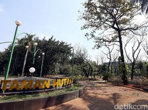 Polisi Ungkap Peran 2 Pelaku dalam Pembunuhan Pria di Hutan Kota Bekasi Polisi Ungkap Peran 2 Pelaku dalam Pembunuhan Pria di Hutan Kota Bekasi