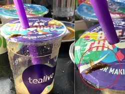 Jijik! Pria Ini Temukan Kecoak dalam Minuman Bobanya