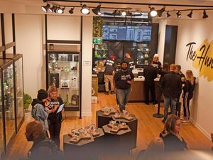 Lika-liku Bisnis Ganja di Kanada, Tak Semudah yang Disangka