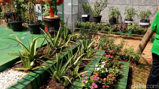 Anies Jabarkan Poin-poin Ingub '7 Inisiatif untuk Udara Bersih'