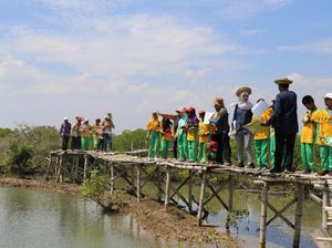 Pertamina Kenalkan Siswa SD Bangkalan Budidaya Mangrove