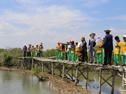 Pertamina Kenalkan Siswa SD Bangkalan Budidaya Mangrove