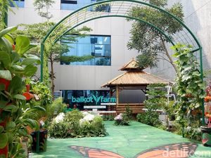 Jadi Percontohan, Kini Ada Balkotfarm di Balai Kota DKI