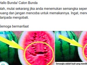Viral Konsumsi Semangka yang Retak Bisa Bikin Kanker, Bagaimana Faktanya? Viral Konsumsi Semangka yang Retak Bisa Bikin Kanker, Bagaimana Faktanya?