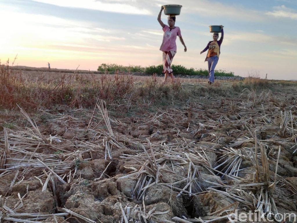 Krisis Air Bersih Melanda Pesisir Maros Sulsel Krisis Air Bersih Melanda Pesisir Maros Sulsel