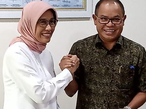 Rini Tunjuk Sripeni Inten Jadi Bos Sementara PLN