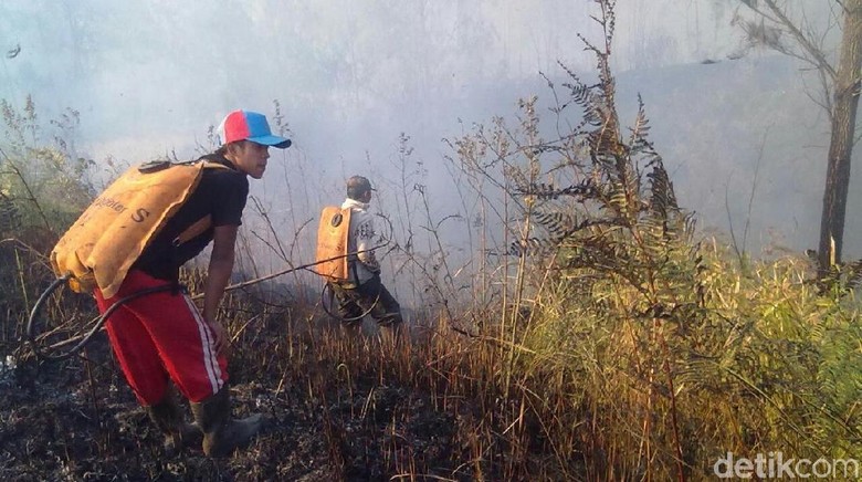 Api yang Membakar Puncak Ijen Sebagian Sudah Padam