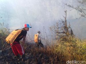 Api yang Membakar Puncak Ijen Sebagian Sudah Padam Api yang Membakar Puncak Ijen Sebagian Sudah Padam